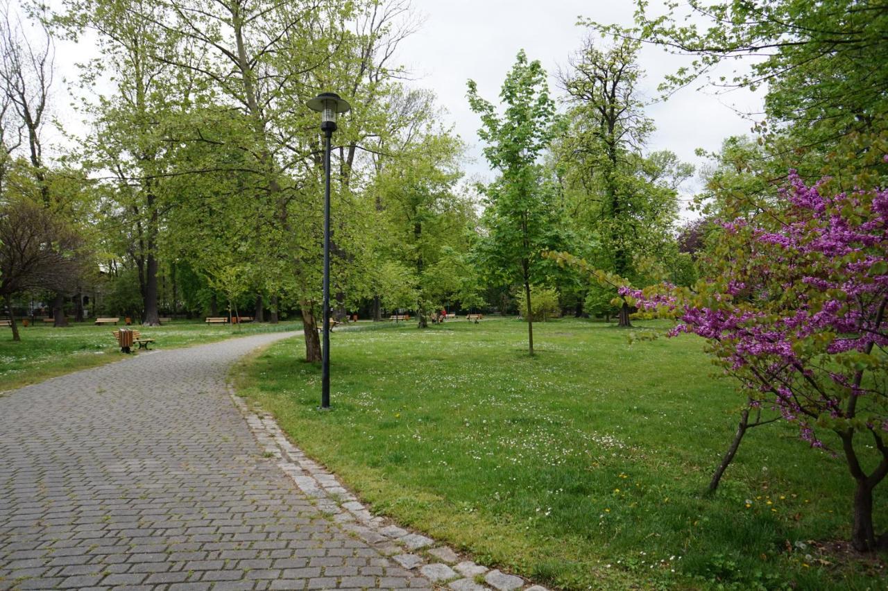 Apartament Gliwice Centrum Fredry II Exteriér fotografie